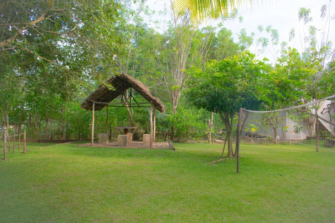 Green Cottage Anuradhapura Luaran gambar