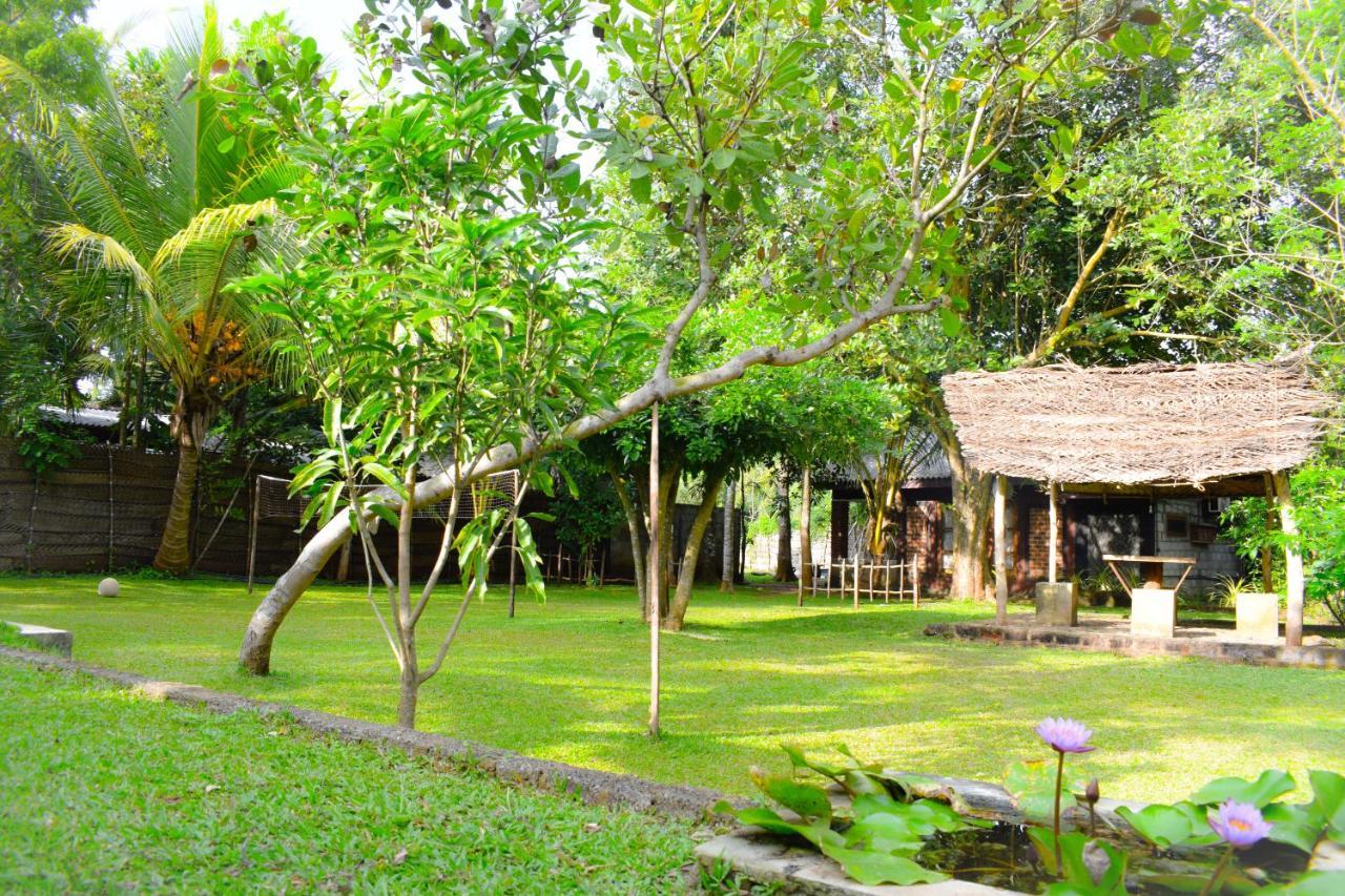 Green Cottage Anuradhapura Luaran gambar