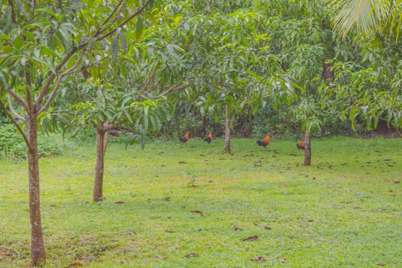 Green Cottage Anuradhapura Luaran gambar