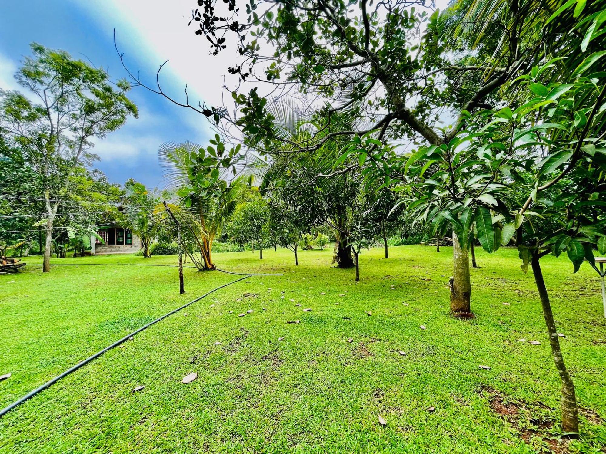 Green Cottage Anuradhapura Luaran gambar